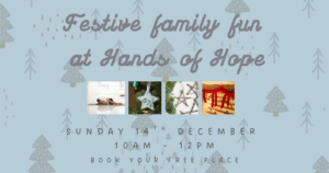 Festive Family Fun day