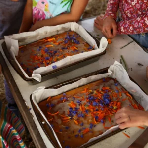 Make Bake & Grow Workshop