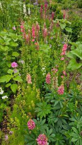 WhatsApp Image 2025-06-20 at 1.48.41 PM (3)