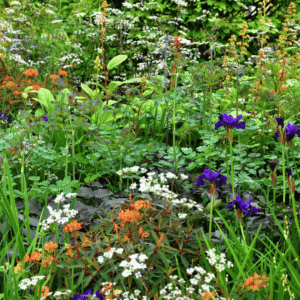 Wildlife gardening