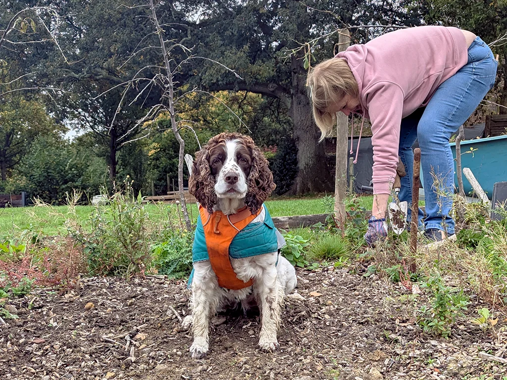 Corporate Volunteering at Hope Farm Community Garden, Hawkhurst