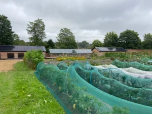 Market Garden at Hope Farm Community Garden, Hawkhurst