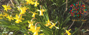Spring newsletter header