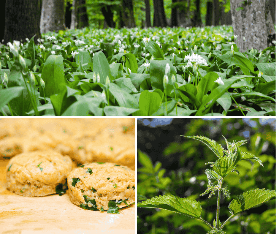 Wild garlic scones