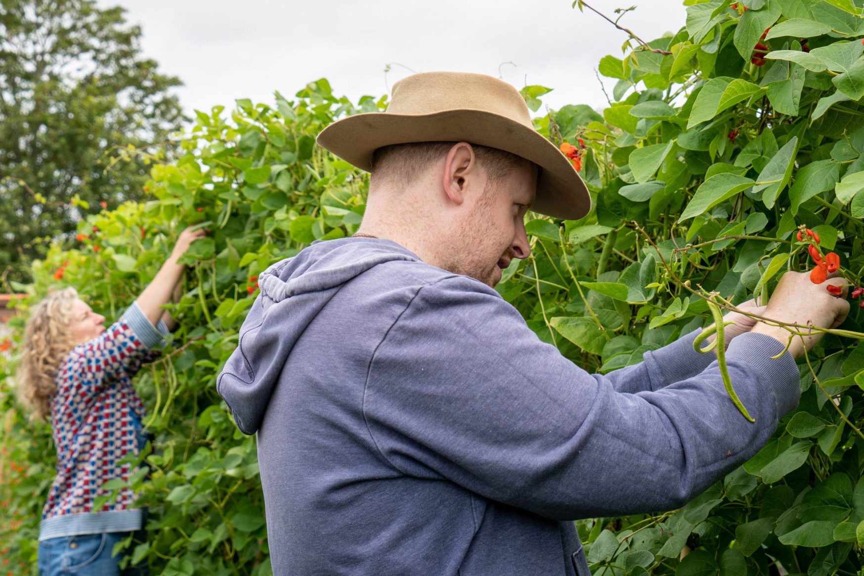 Scott & Mandy picking runner beans