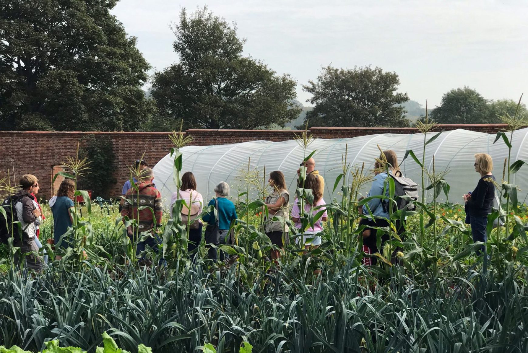 Some of Hands of Hope's produce is given to foodbanks including Rye’s.