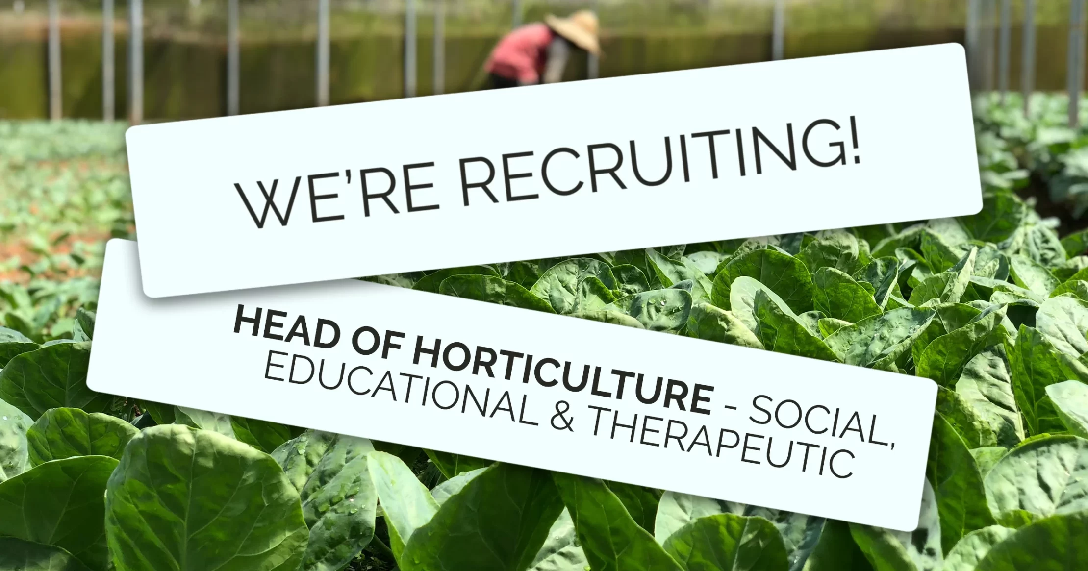 Head of Horticulture Required