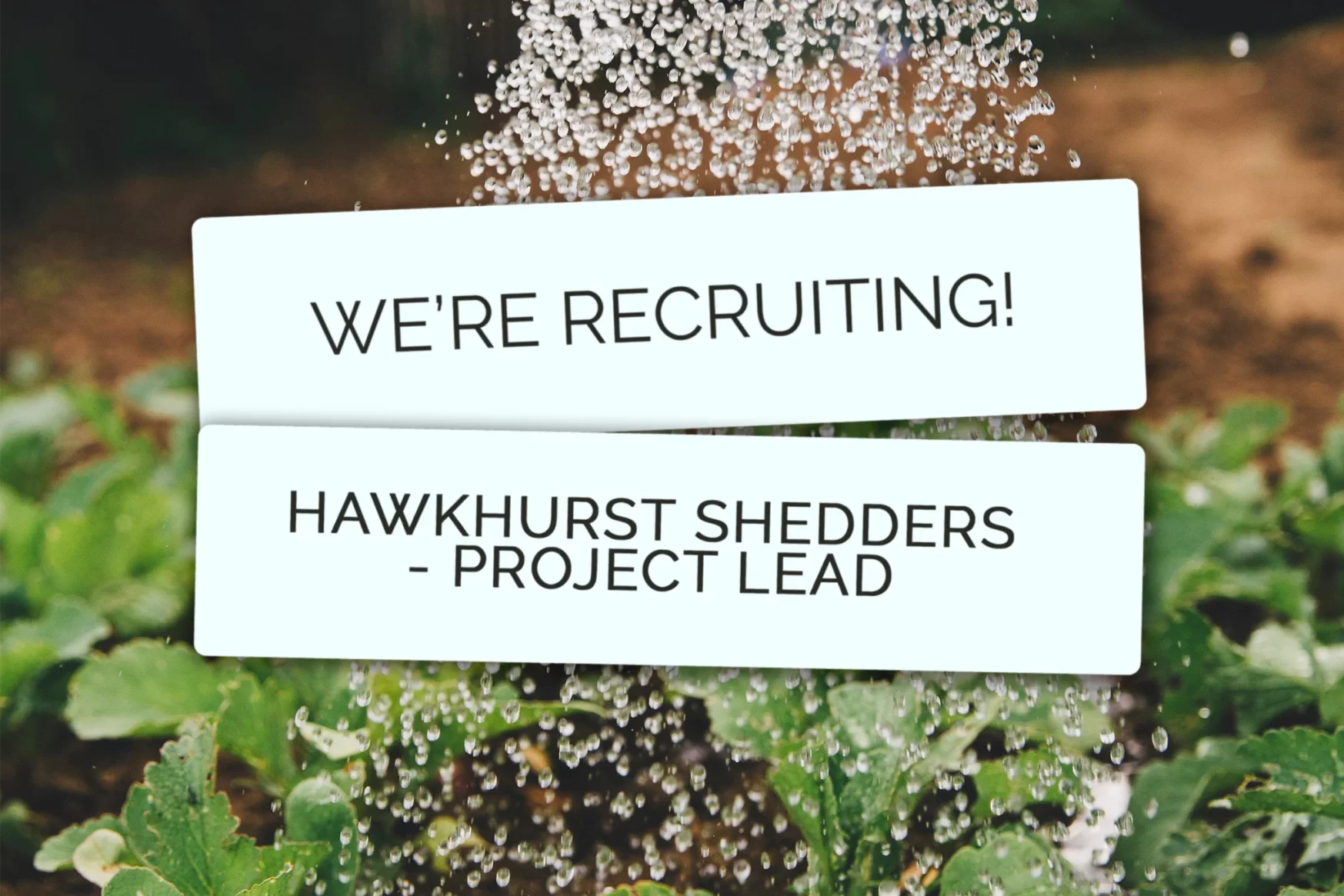 Hands of Hope is hiring